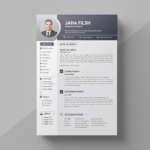 un modèle de CV professionnel pour un emploi